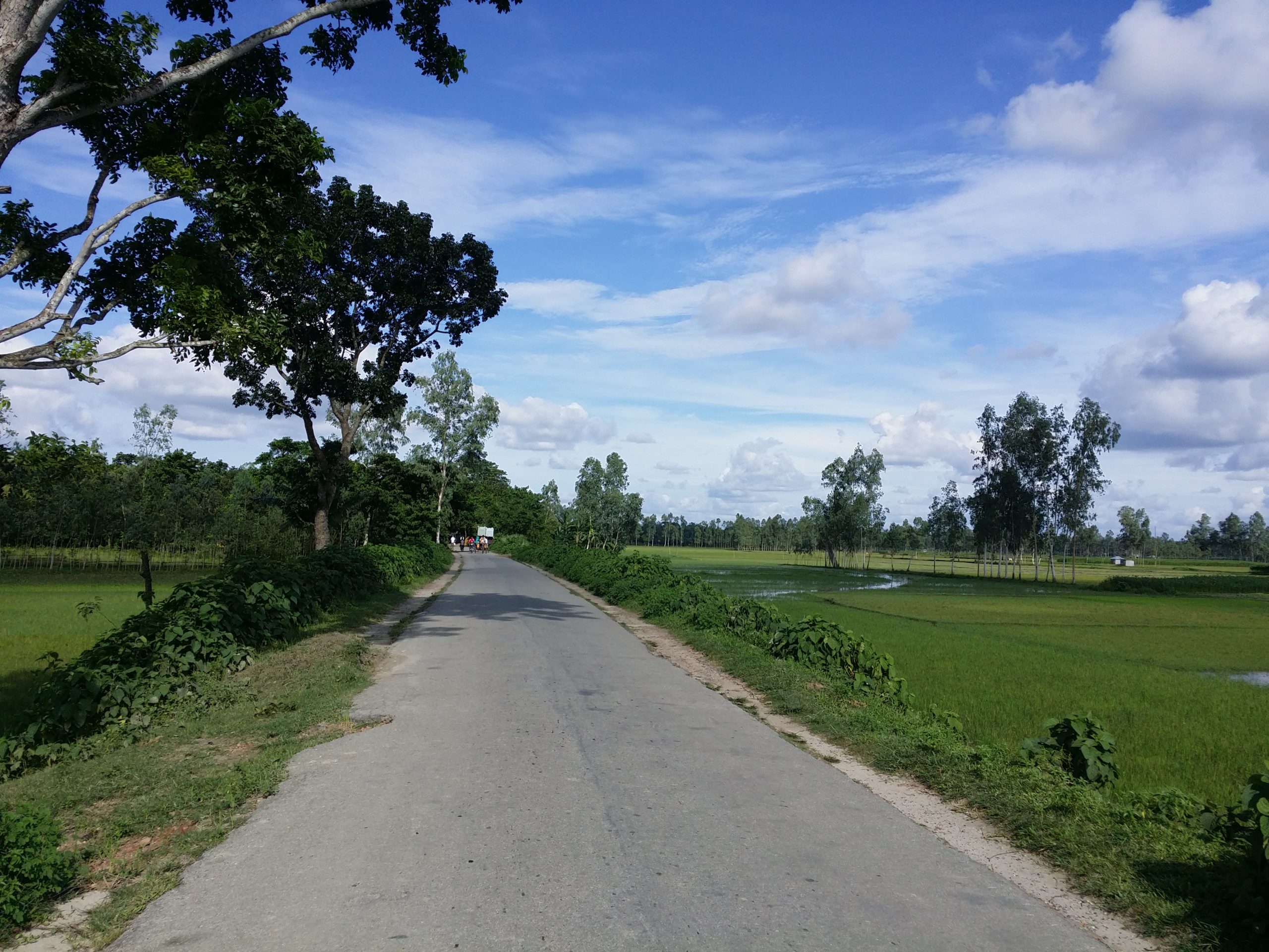 ধুনট উপজেলা